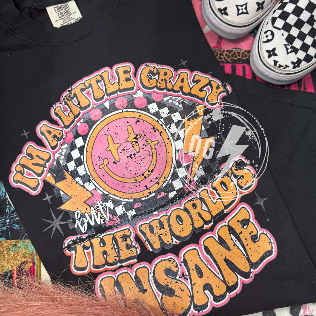LITTLE CRAZY, WORLD INSANE