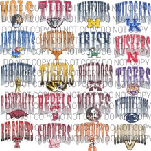 Load image into Gallery viewer, PRO + COLLEGE FOOTBALL SPORTS TEES
