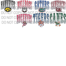 Load image into Gallery viewer, PRO + COLLEGE FOOTBALL SPORTS TEES
